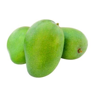 Manga Bourbon Tradicional Verde