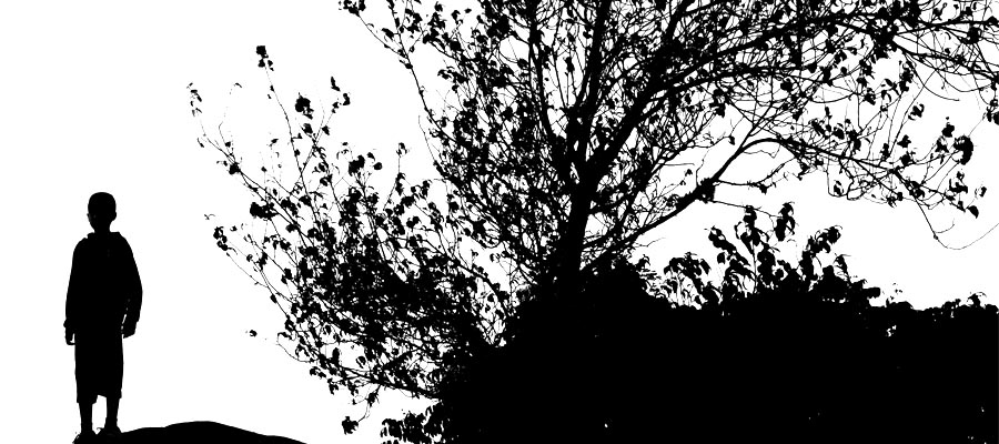 Filosofia do Bonsai, segundo professor Ladoso Filosofia do Bonsai, segundo professor Ladoso