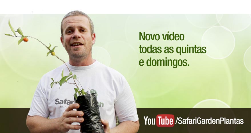 Canal Safari Garden no Youtube