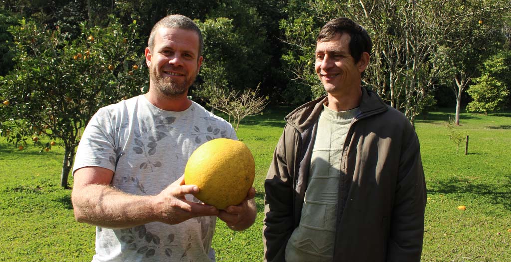 Projeto Colecionando Frutas: uma visita inesquecível